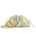 Bottega Vaneta Pouch/Clutch Bag