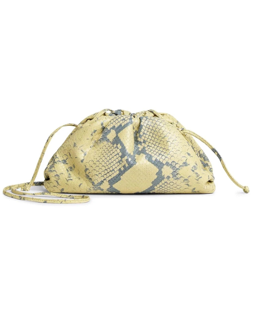 Bottega Vaneta Pouch/Clutch Bag