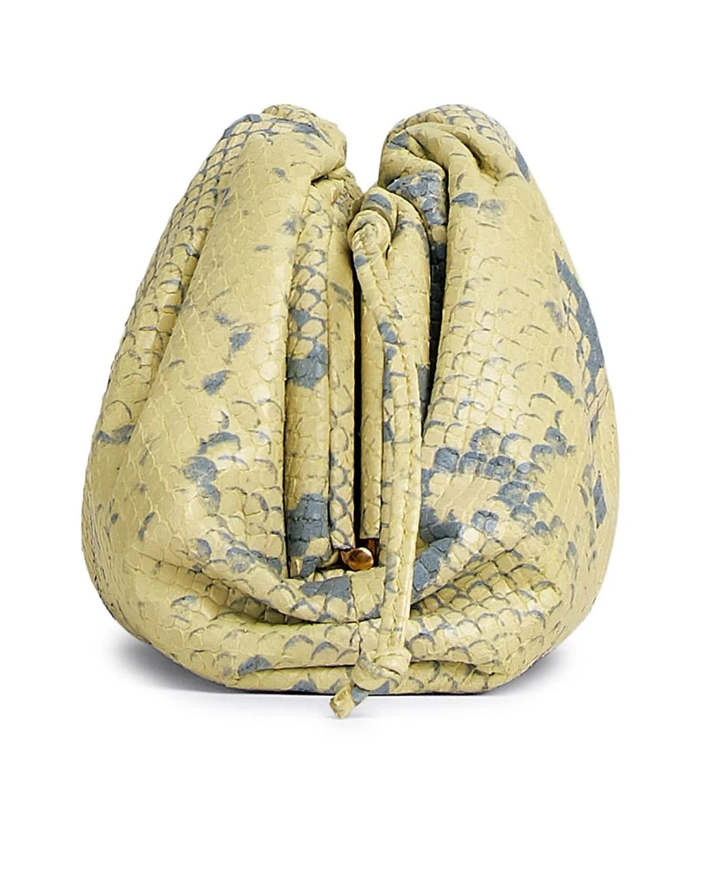 Bottega Vaneta Pouch/Clutch Bag